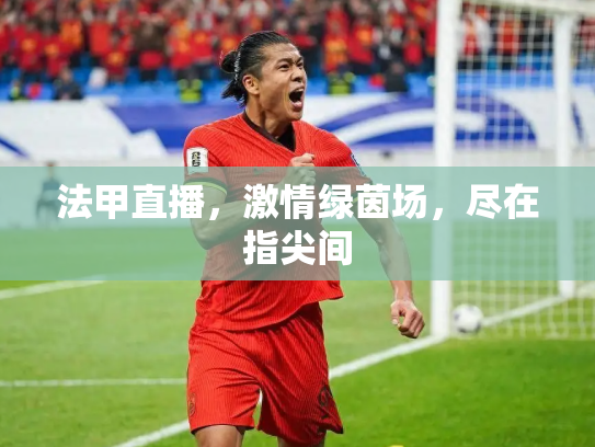 法甲直播，激情绿茵场，尽在指尖间
