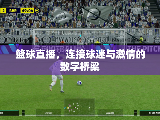 篮球直播，连接球迷与激情的数字桥梁