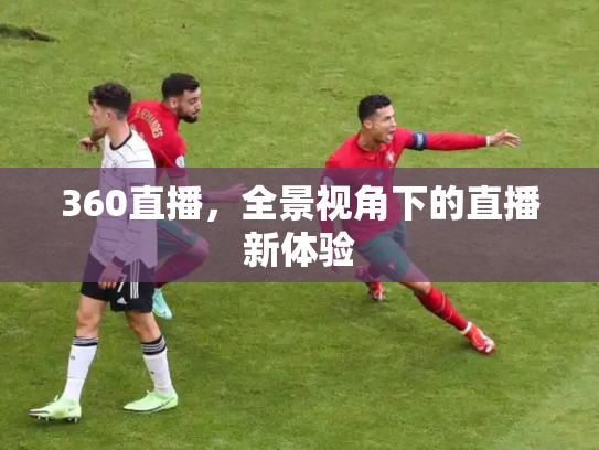 360直播，全景视角下的直播新体验
