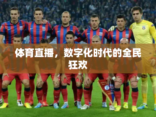 体育直播，数字化时代的全民狂欢