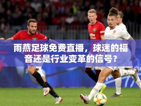 雨燕足球免费直播，球迷的福音还是行业变革的信号？