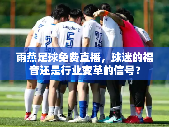 雨燕足球免费直播，球迷的福音还是行业变革的信号？