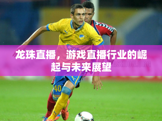 龙珠直播，游戏直播行业的崛起与未来展望
