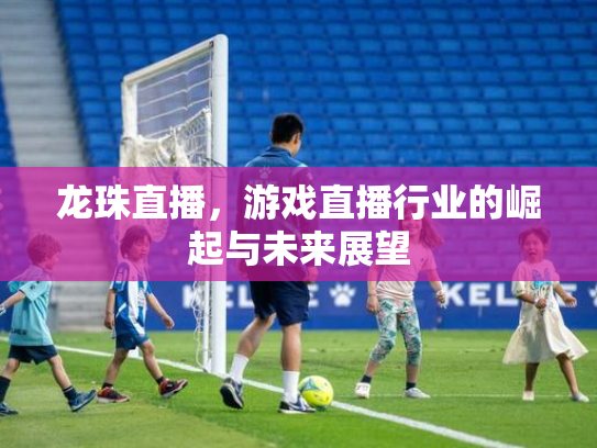 龙珠直播，游戏直播行业的崛起与未来展望