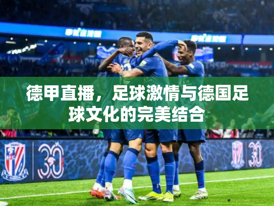 德甲直播，足球激情与德国足球文化的完美结合