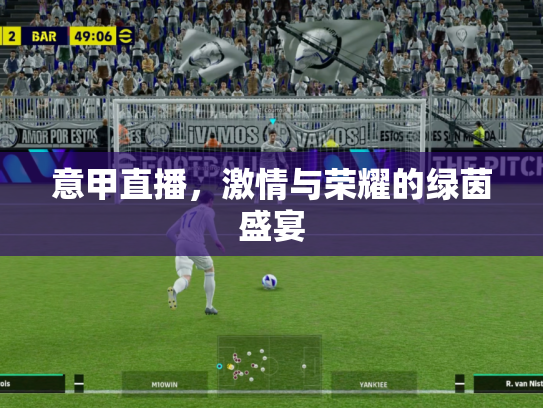 意甲直播，激情与荣耀的绿茵盛宴