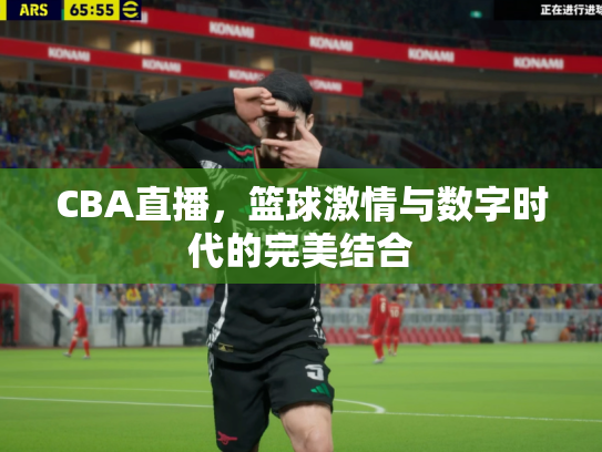 CBA直播，篮球激情与数字时代的完美结合