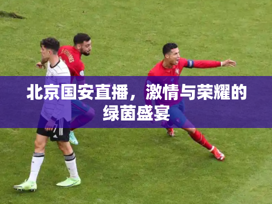 北京国安直播，激情与荣耀的绿茵盛宴