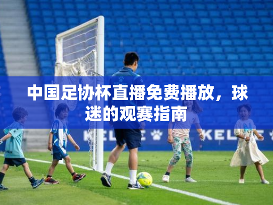 中国足协杯直播免费播放，球迷的观赛指南