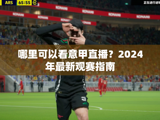 哪里可以看意甲直播？2024年最新观赛指南