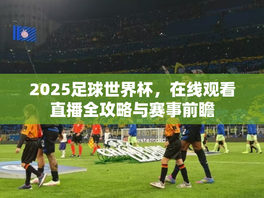 2025足球世界杯，在线观看直播全攻略与赛事前瞻