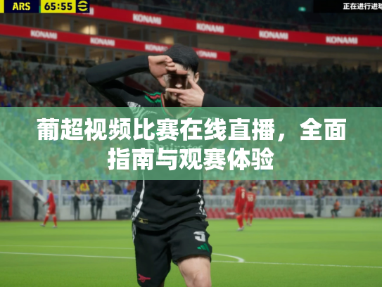 葡超视频比赛在线直播，全面指南与观赛体验