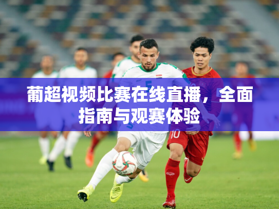 葡超视频比赛在线直播，全面指南与观赛体验
