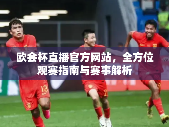 欧会杯直播官方网站，全方位观赛指南与赛事解析
