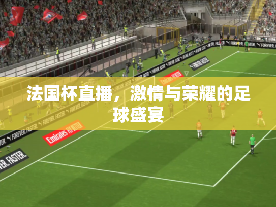 法国杯直播，激情与荣耀的足球盛宴