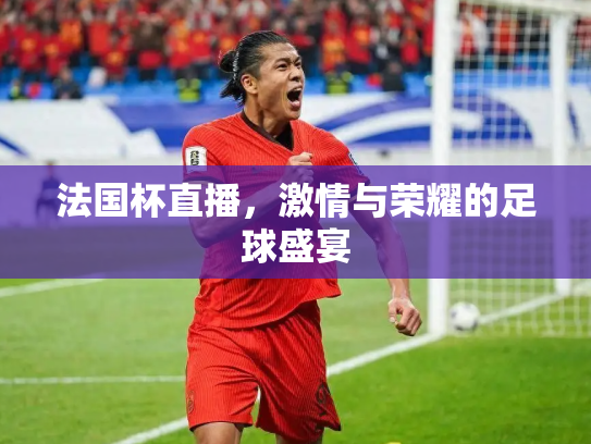 法国杯直播，激情与荣耀的足球盛宴