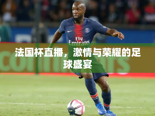 法国杯直播，激情与荣耀的足球盛宴