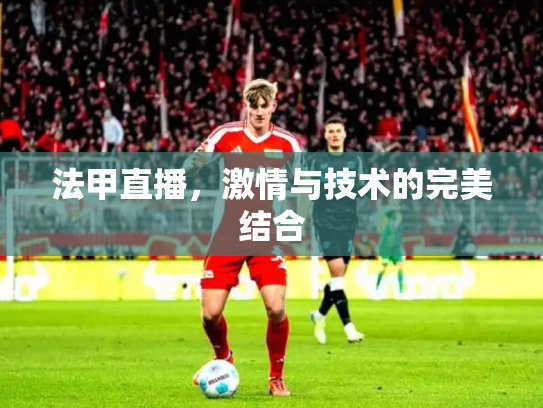 法甲直播，激情与技术的完美结合