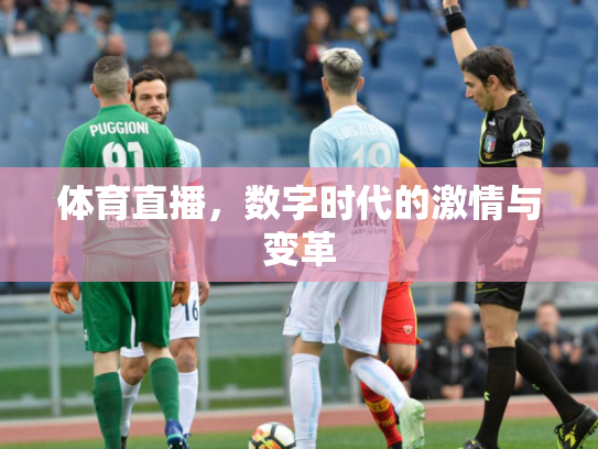 体育直播，数字时代的激情与变革