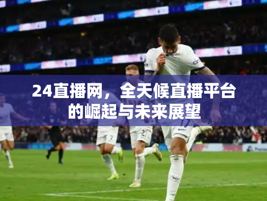 24直播网，全天候直播平台的崛起与未来展望