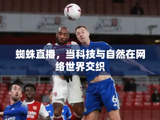 蜘蛛直播，当科技与自然在网络世界交织
