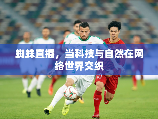 蜘蛛直播，当科技与自然在网络世界交织
