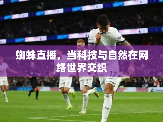 蜘蛛直播，当科技与自然在网络世界交织