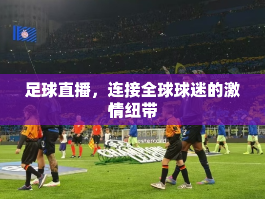 足球直播，连接全球球迷的激情纽带