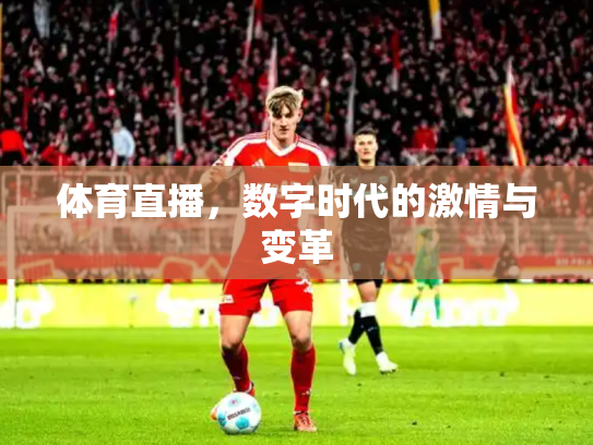 体育直播，数字时代的激情与变革