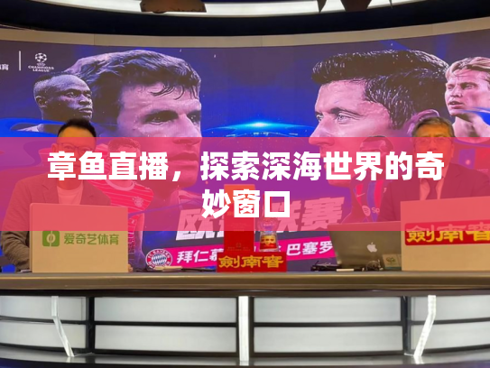 章鱼直播，探索深海世界的奇妙窗口