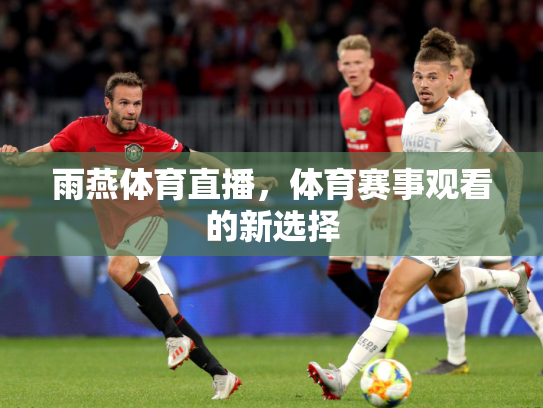 雨燕体育直播，体育赛事观看的新选择