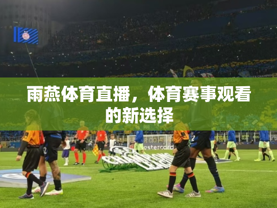 雨燕体育直播，体育赛事观看的新选择