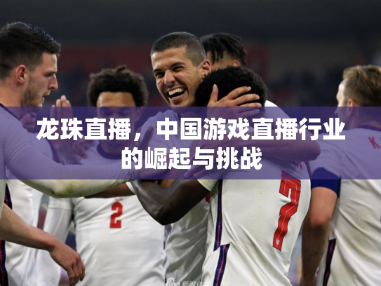 龙珠直播，中国游戏直播行业的崛起与挑战