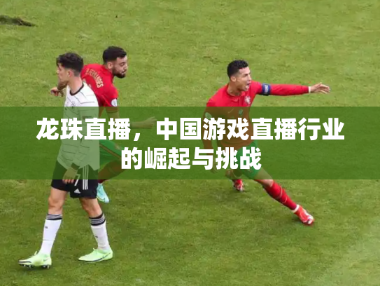 龙珠直播，中国游戏直播行业的崛起与挑战