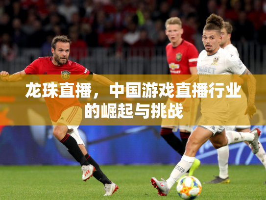 龙珠直播，中国游戏直播行业的崛起与挑战