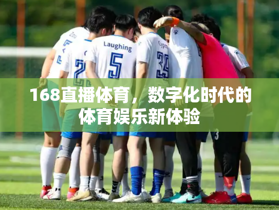 168直播体育，数字化时代的体育娱乐新体验