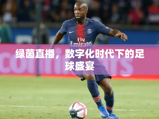 绿茵直播，数字化时代下的足球盛宴
