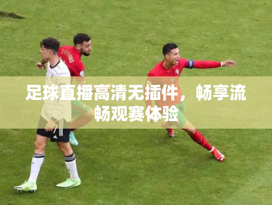 足球直播高清无插件，畅享流畅观赛体验