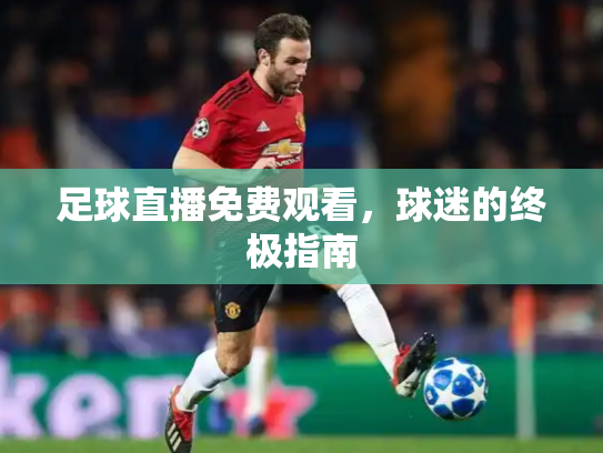 足球直播免费观看，球迷的终极指南