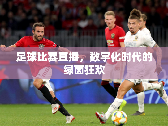 足球比赛直播，数字化时代的绿茵狂欢