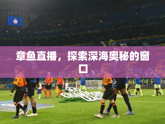 章鱼直播，探索深海奥秘的窗口