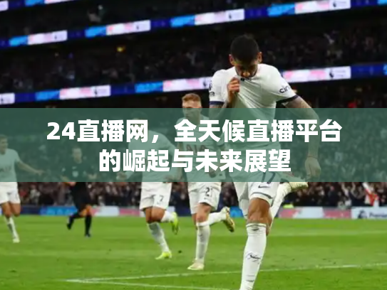 24直播网，全天候直播平台的崛起与未来展望