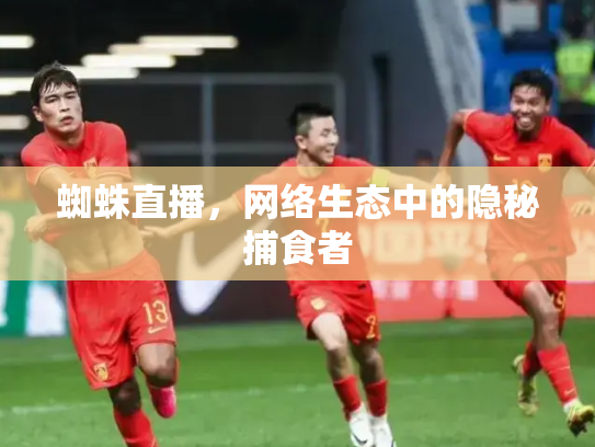 蜘蛛直播，网络生态中的隐秘捕食者