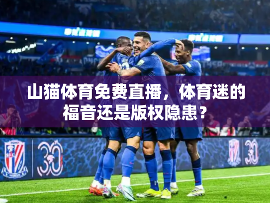 山猫体育免费直播，体育迷的福音还是版权隐患？