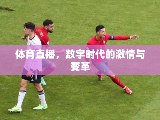 体育直播，数字时代的激情与变革
