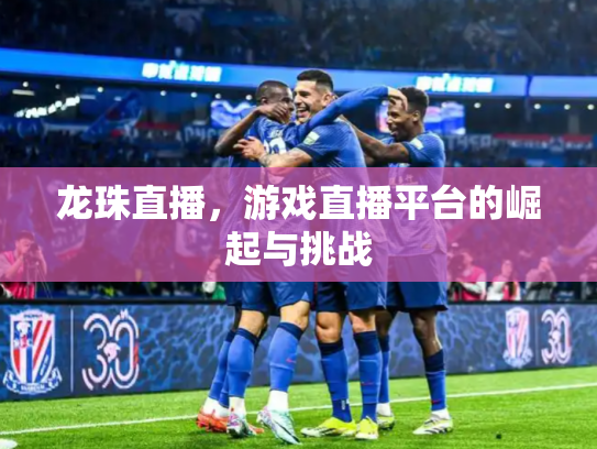 龙珠直播，游戏直播平台的崛起与挑战