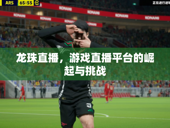 龙珠直播，游戏直播平台的崛起与挑战