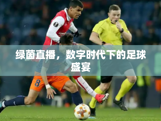 绿茵直播，数字时代下的足球盛宴