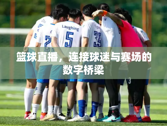 篮球直播，连接球迷与赛场的数字桥梁