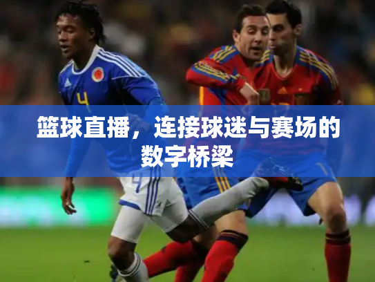 篮球直播，连接球迷与赛场的数字桥梁